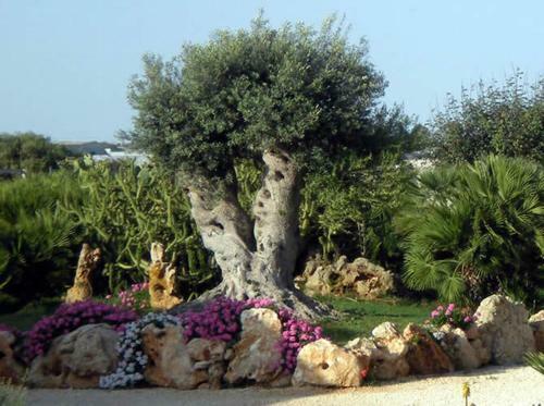 Agroturismo Agriturismo Il Ranch