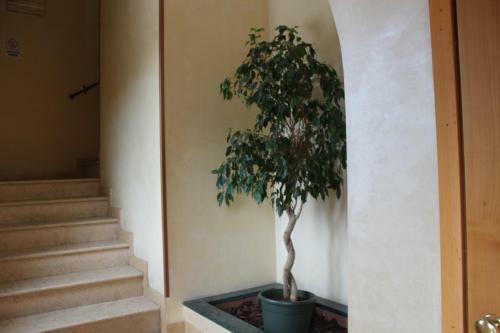 Villa Ferri Apartments