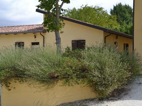 Agroturismo Agriturismo La Selva