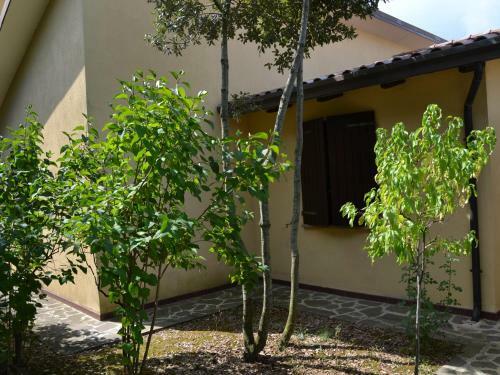 Agroturismo Agriturismo La Selva