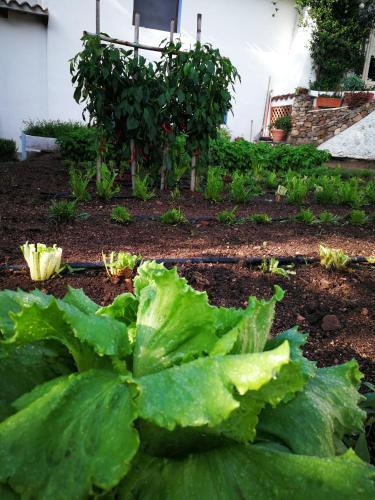 Agroturismo Agriturismo Guthiddai