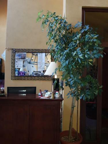 Hotel Damian Park Hotel Delle Magnolie