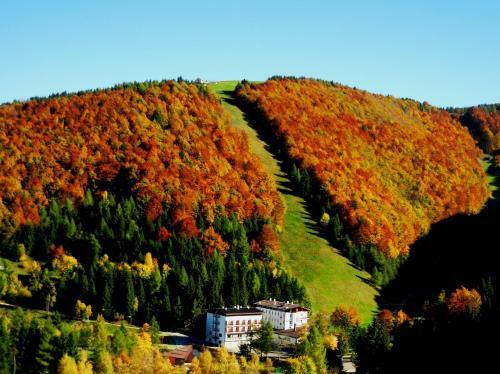Sport & Family Hotel Bucaneve