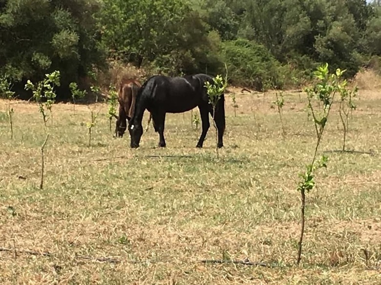 Agroturismo Agriturismo Vita E Natura