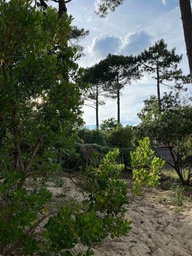 Maison De Vacances Cap-ferret, La Vigne