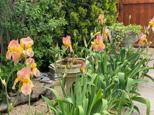 Bed & Breakfast La Bergerie Antoine