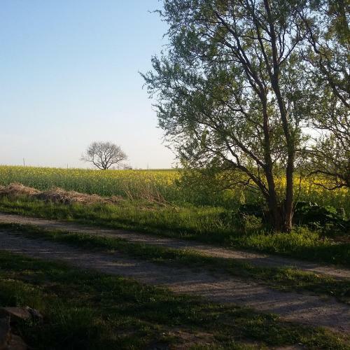 Stuga P� Bummelg�rden