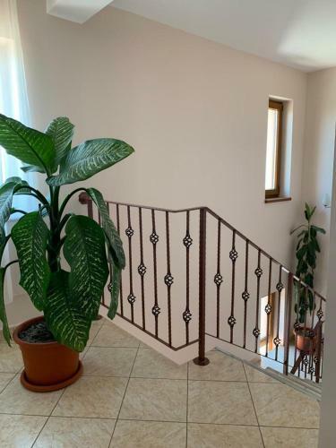 Hostal Vila Corina