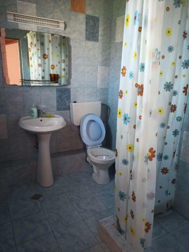 Hostal Vila Dragomir