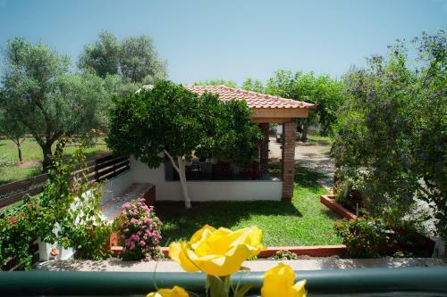 Apartamento Marmaron Rooms