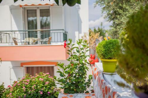 Apartamento Marmaron Rooms