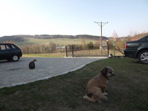 Apartament Fenowe Wzg�rze