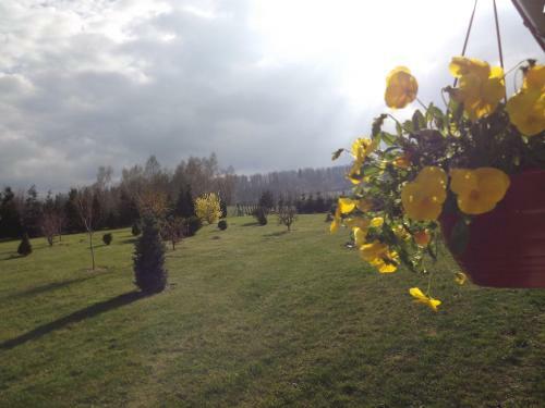 Apartament Fenowe Wzg�rze