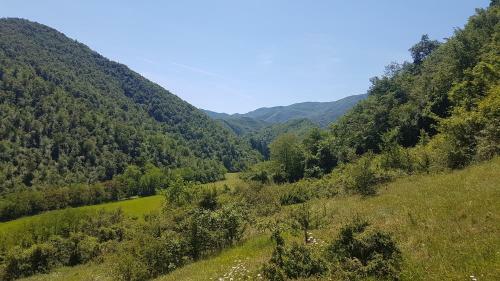 Bed & Breakfast Locanda Di Alberi