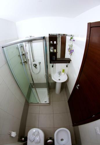 Luxury Apartment