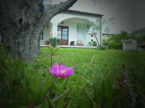 Villa Il Poderino