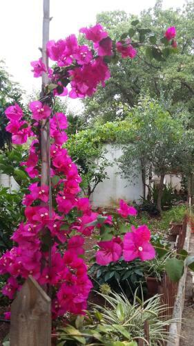 Hostal Sopra I Parchi Di Puglia