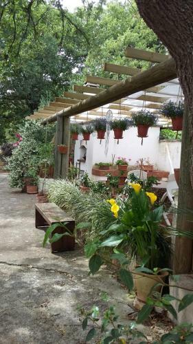 Hostal Sopra I Parchi Di Puglia
