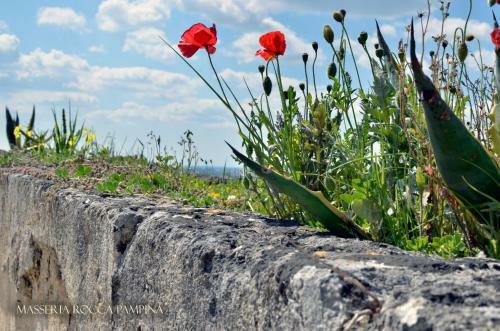 Bed & Breakfast Monastero Rocca Pampina