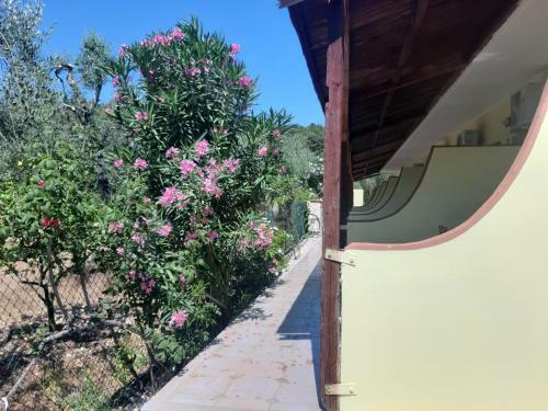 Bed & Breakfast La Piccola Mole