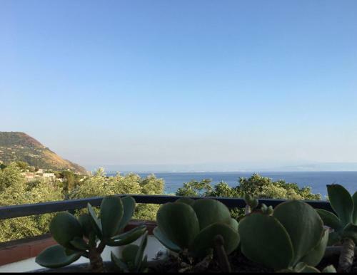 Apartamento Casa Ranieli
