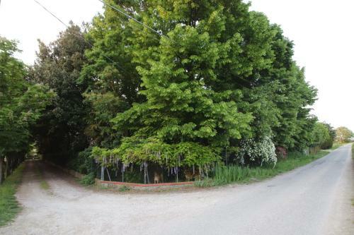 Bed & Breakfast La Casa Nel Bosco