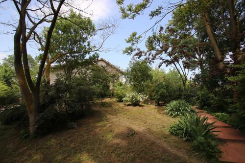 Bed & Breakfast La Casa Nel Bosco