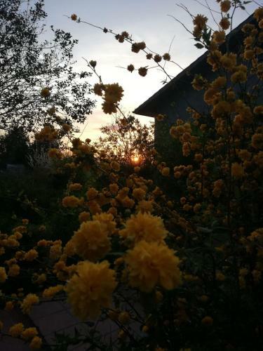 Bed & Breakfast La Casa Nel Bosco