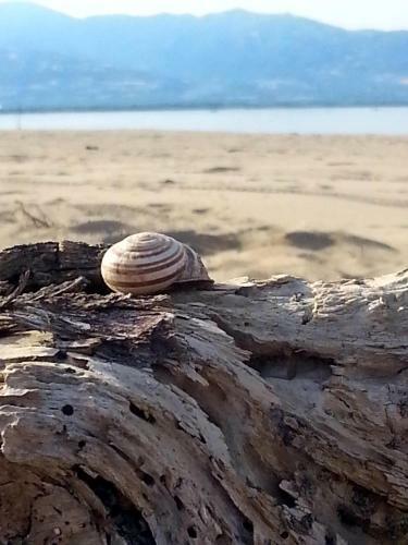 "la Casetta" Dei Laghi Di Sibari