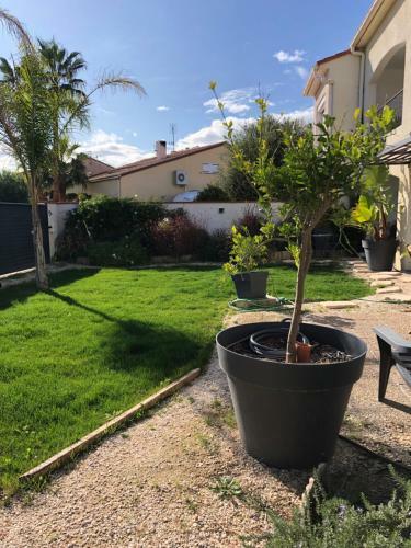 Apartamento Paddle Beach House - Studio Terrasse