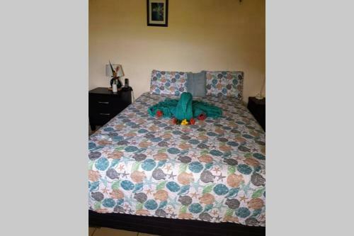 Apartamento Ocean View! Relax And Capture Spectacular Sunset