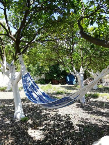 Bed & Breakfast Manavita