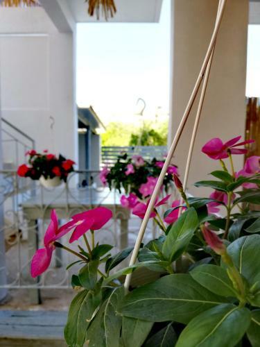 Bed & Breakfast Manavita