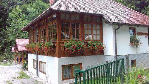 Hostal Vila Kosca - 2 Apartments For Rent
