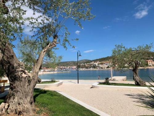 Apartman Nede