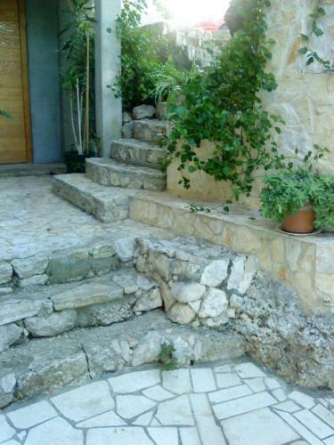 Apartman Nede