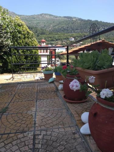 Apartamento Golden Vali House