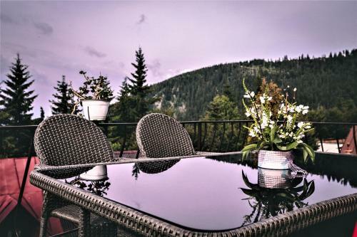 Hostal Pensiunea Adriana Straja