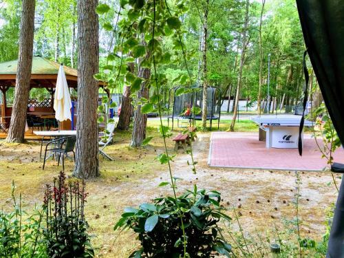 Lodge Domki Letniskowe Maja