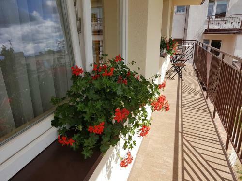 Apartamenty Nadmorskie
