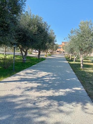 Il Poggetto Marzamemi - Lemon House