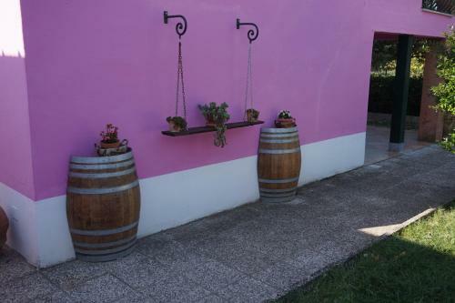 Agroturismo Agriturismo Consalvi Valentina
