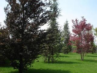 Grand Hotel Del Parco - Bergamo Airport