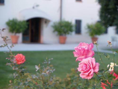 Bed & Breakfast Col Delle Rane