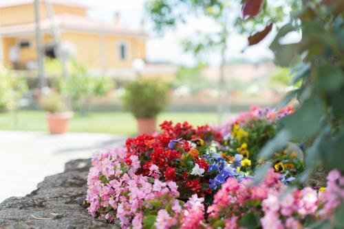Bed And Breakfast Nonna Loreta