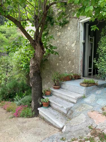 Agroturismo Casa Lume