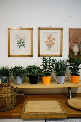 Agroturismo Casa Lume