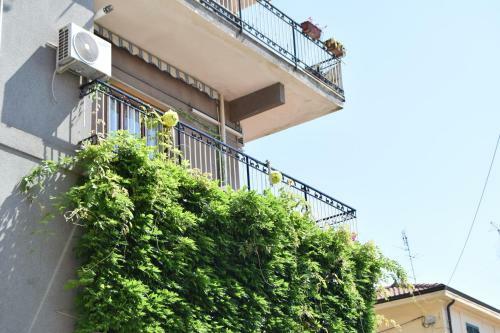 Apartamento Domus "rosa"