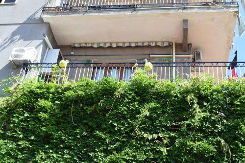 Apartamento Domus "rosa"