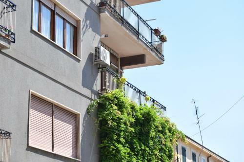 Apartamento Domus "rosa"